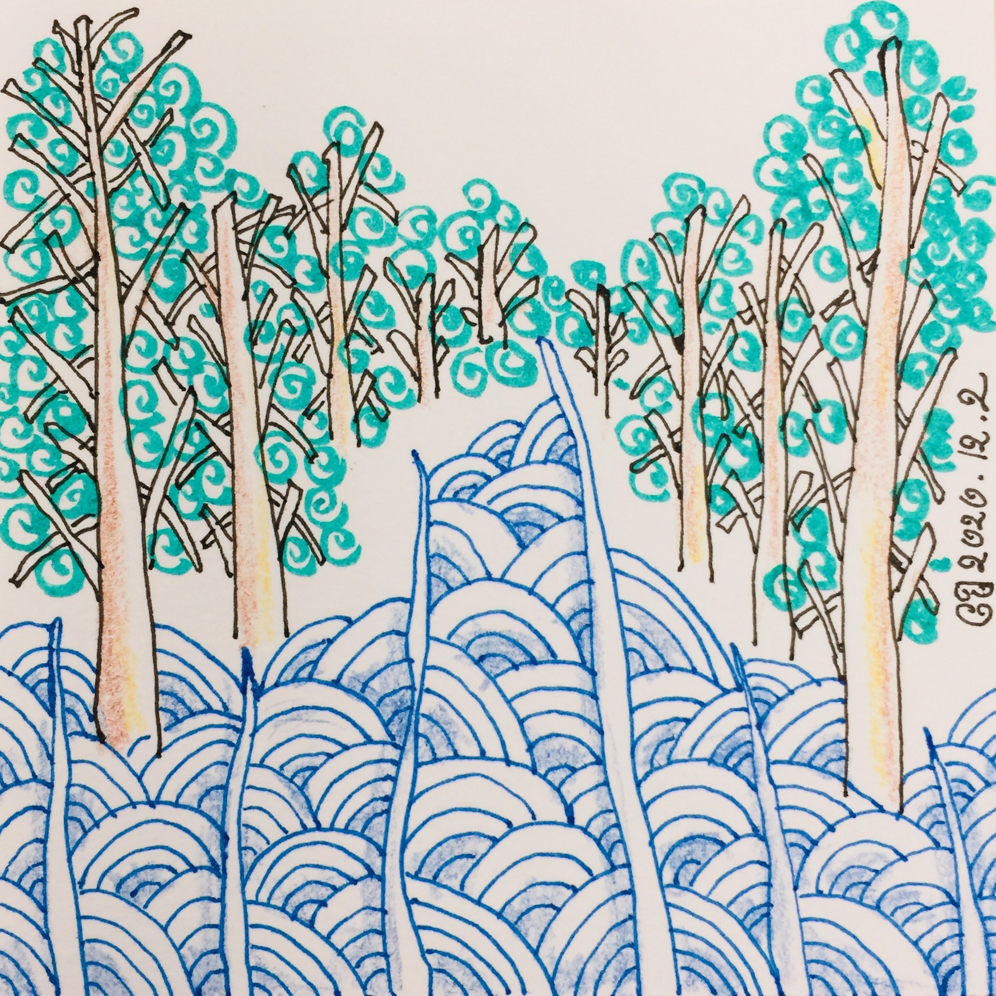 Our Health! Forest Health!森林療癒，療癒森林